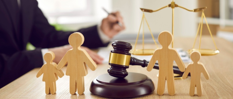 High Conflict Custody Cases