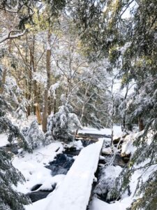 Any activity in snowy Michigan is inspiring!